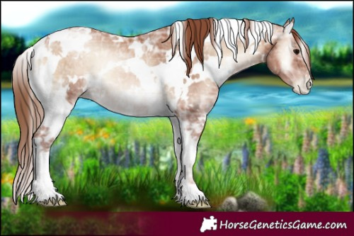 Horse Color:White Spotted Blue Onyx Ice Pearl Tobiano 