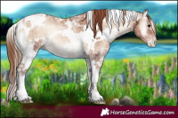 Horse Color:White Spotted Blue Onyx Ice Pearl Tobiano 