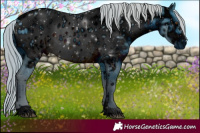 Horse Color:ERROR: UNKNOWN ANOMALY