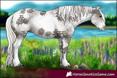 Horse Color:White Spotted Silver Black Tobiano 