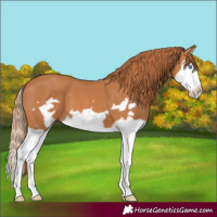 Horse Color:Chestnut Splash Frame 