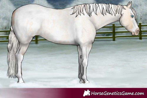 Horse Color:Silver Amber Champagne Roan Dun Splash Tobiano Frame Blanket Rabicano 