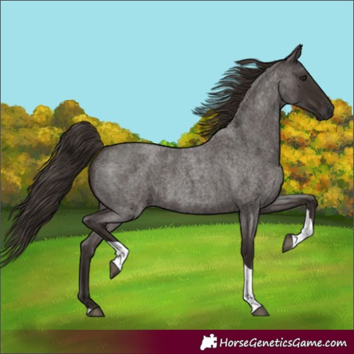 Horse Color:Liver Red Roan Tobiano 