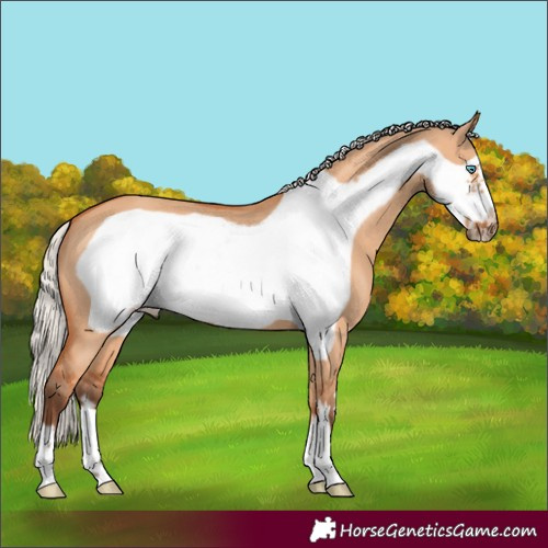 Horse Color:Silver Bay Dun Frame 