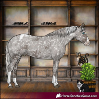 Horse Color:Silver Black Merle Splash Tobiano Appaloosa