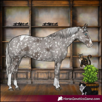 Horse Color:Silver Black Merle Splash Tobiano Snowflake Varnish