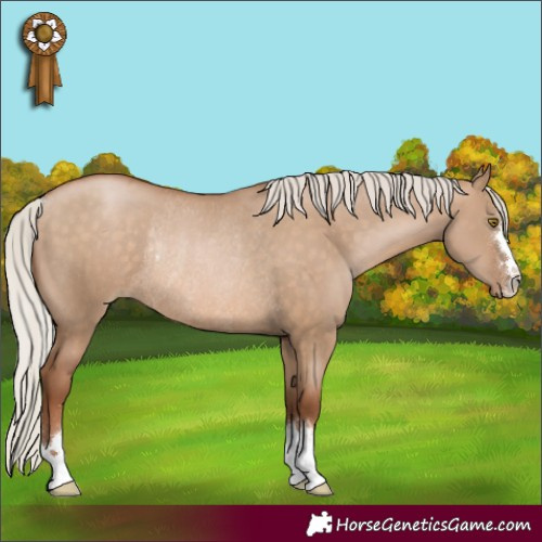 Horse Color:Silver Brown Pearl Dun Rabicano