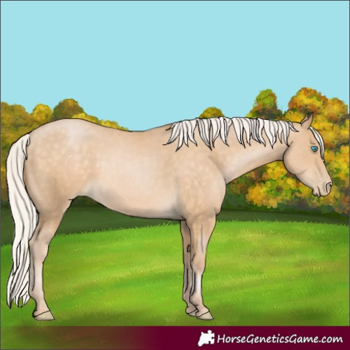 Horse Color:Silver Buckskin Pearl Rabicano