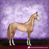Horse Color:Gray Gold Champagne Pearl Rabicano 