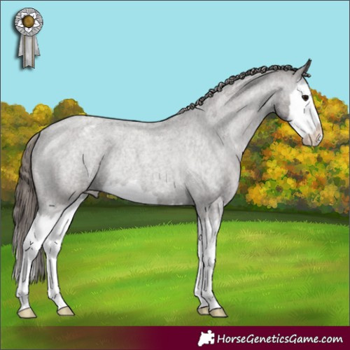 Horse Color:Grullo Roan Splash Varnish Rabicano 