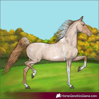 Horse Color:Red Roan Pearl Tobiano Frame