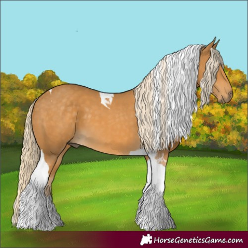 Horse Color:Palomino Tobiano 