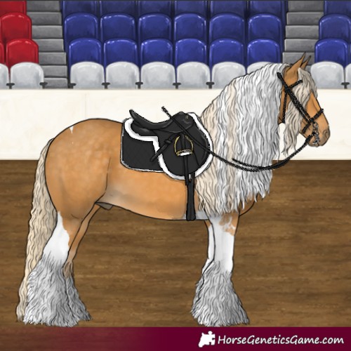 Horse Color:Palomino Tobiano 