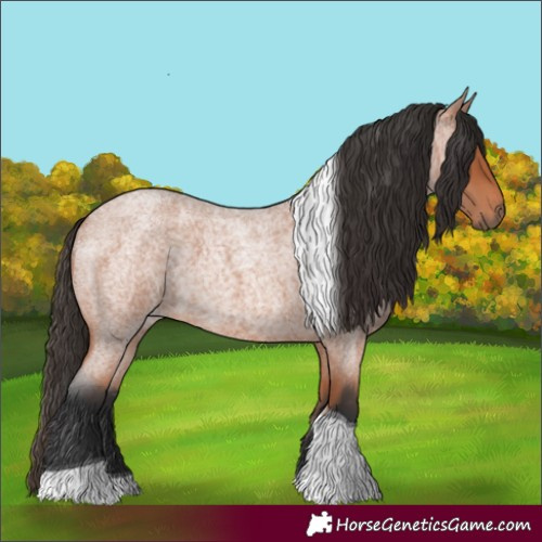Horse Color:Bay Roan Tobiano
