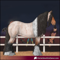 Horse Color:Bay Roan Tobiano 