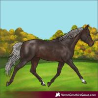 Horse Color:Silver Brown