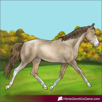 Horse Color:Smoky Black Pearl Sabino