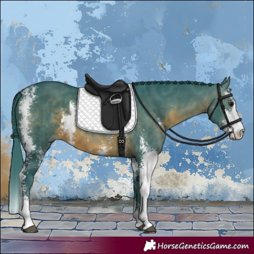 Horse Color:Watercolor Brown Sabino 