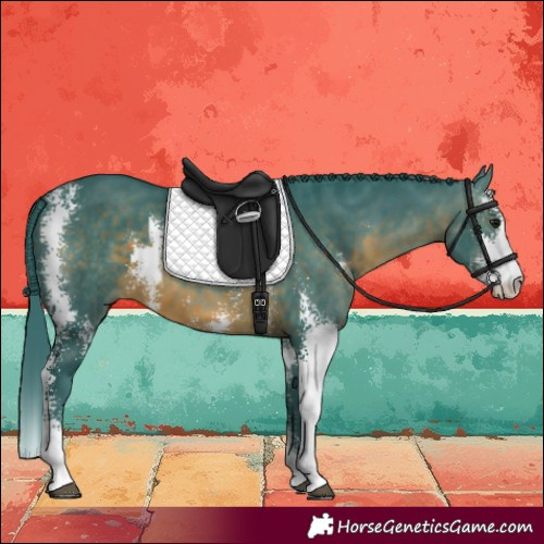 Horse Color:Watercolor Brown Sabino 