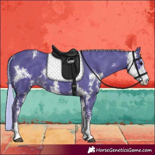 Horse Color:Watercolor Silver Black Sabino 