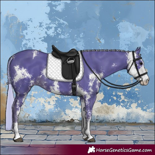 Horse Color:Watercolor Silver Black Sabino