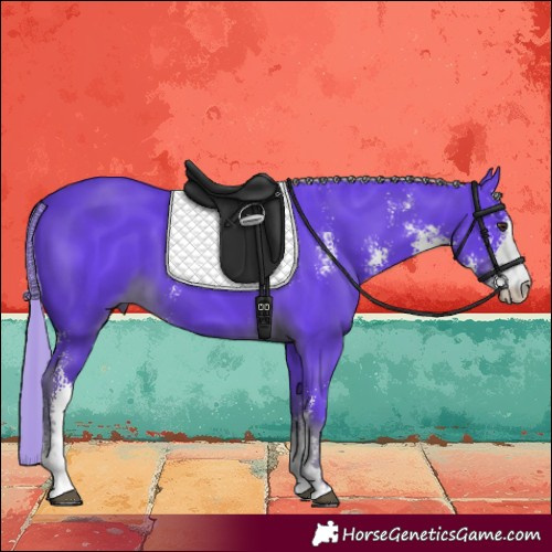 Horse Color:Watercolor Liver Chestnut Sabino 