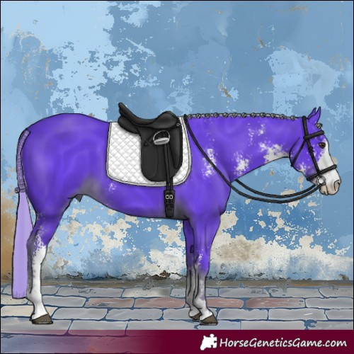 Horse Color:Watercolor Liver Chestnut Sabino