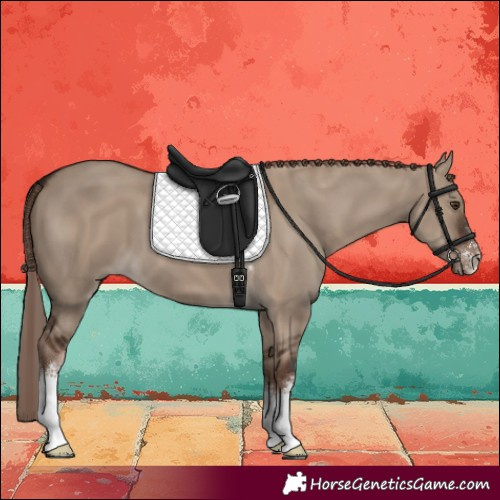 Horse Color:Liver Red Dun Sabino 