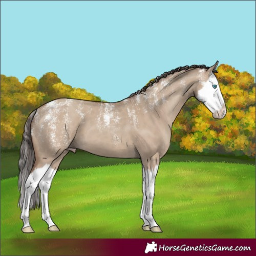 Horse Color:Powder White Classic Champagne Dun Splash 