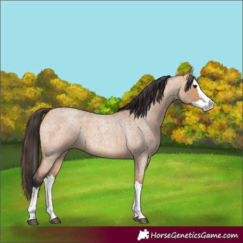 Horse Color:Bay Roan Dun Splash 