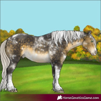 Horse Color:White Spotted Silver Buckskin Mushroom Splash Tobiano Rabicano