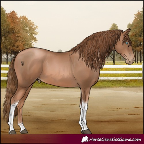 Horse Color:Liver Chestnut Pearl Tobiano 