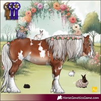 Horse Color:White Spotted Silver Bay Splash 