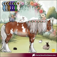 Horse Color:White Spotted Silver Bay Splash 
