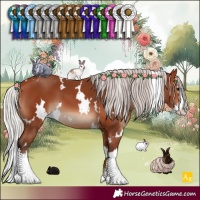 Horse Color:White Spotted Silver Bay Splash 