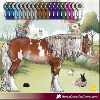 Horse Color:White Spotted Silver Bay Splash