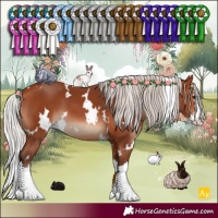 Horse Color:White Spotted Silver Bay Splash 