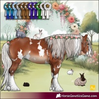 Horse Color:White Spotted Silver Bay Splash 