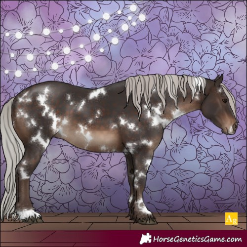 Horse Color:White Spotted Silver Brown