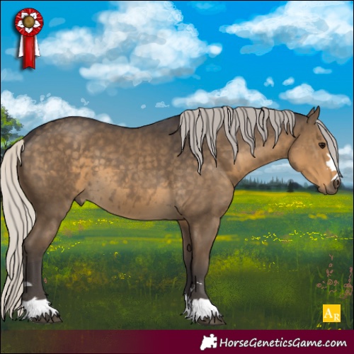 Horse Color:Silver Smoky Black 