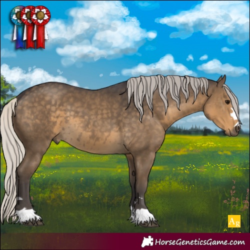 Horse Color:Silver Smoky Black 