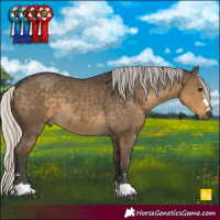 Horse Color:Silver Smoky Black 