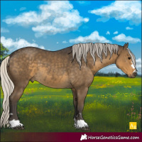 Horse Color:Silver Smoky Black 