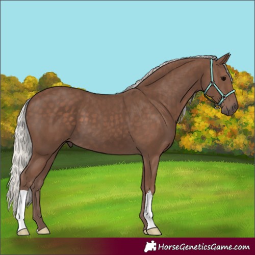 Horse Color:Silver Black 