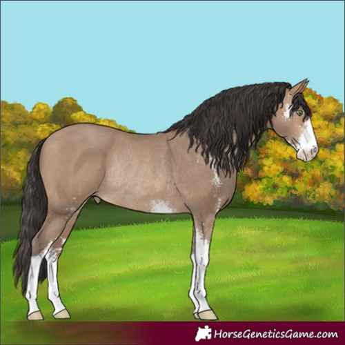 Horse Color:Sable Champagne Sabino Rabicano 