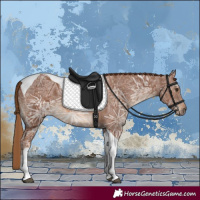 Horse Color:Chestnut Ice Tobiano Rabicano 
