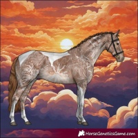 Horse Color:Chestnut Ice Tobiano Rabicano