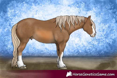 Horse Color:Unknown 