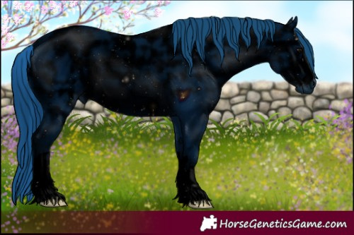 Horse Color:ERROR: UNKNOWN ANOMALY