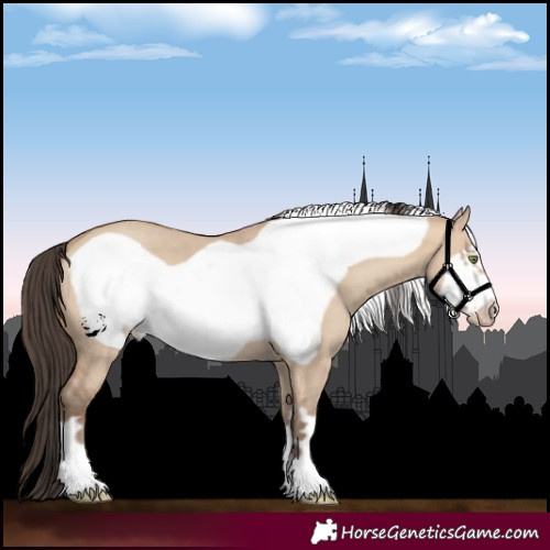 Horse Color:Unknown 